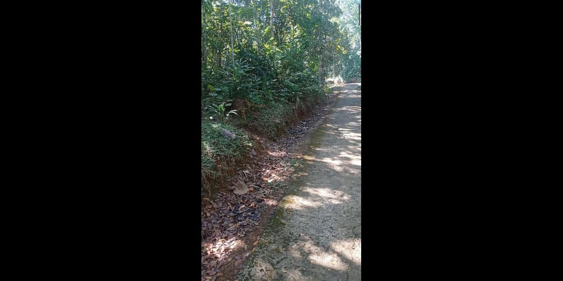 Tanah Datar 2895m² 650 Juta Karangpandan Karanganyar Tanah Datar 2895m² 650 Juta Karangpandan Karanganyar