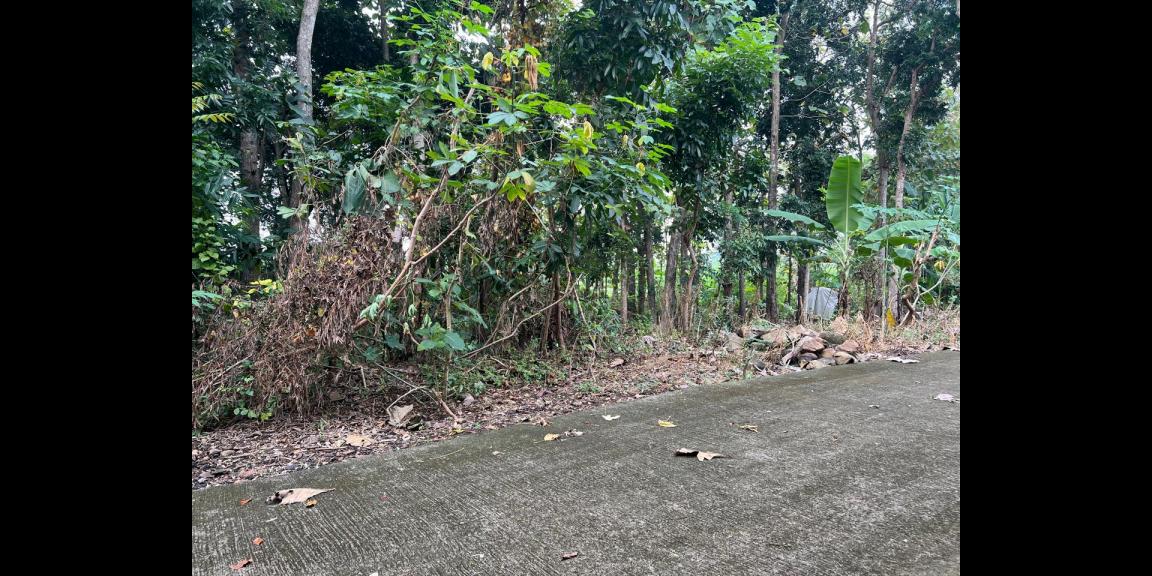 Super Datar Pekarangan 388m² Kedawung Sragen Super Datar Pekarangan 388m² Kedawung Sragen