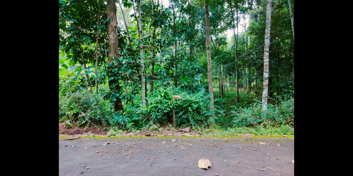 Tanah Cocok Untuk Kebun Buah Mojogedang Karanganyar Tanah Cocok Untuk Kebun Buah Mojogedang Karanganyar