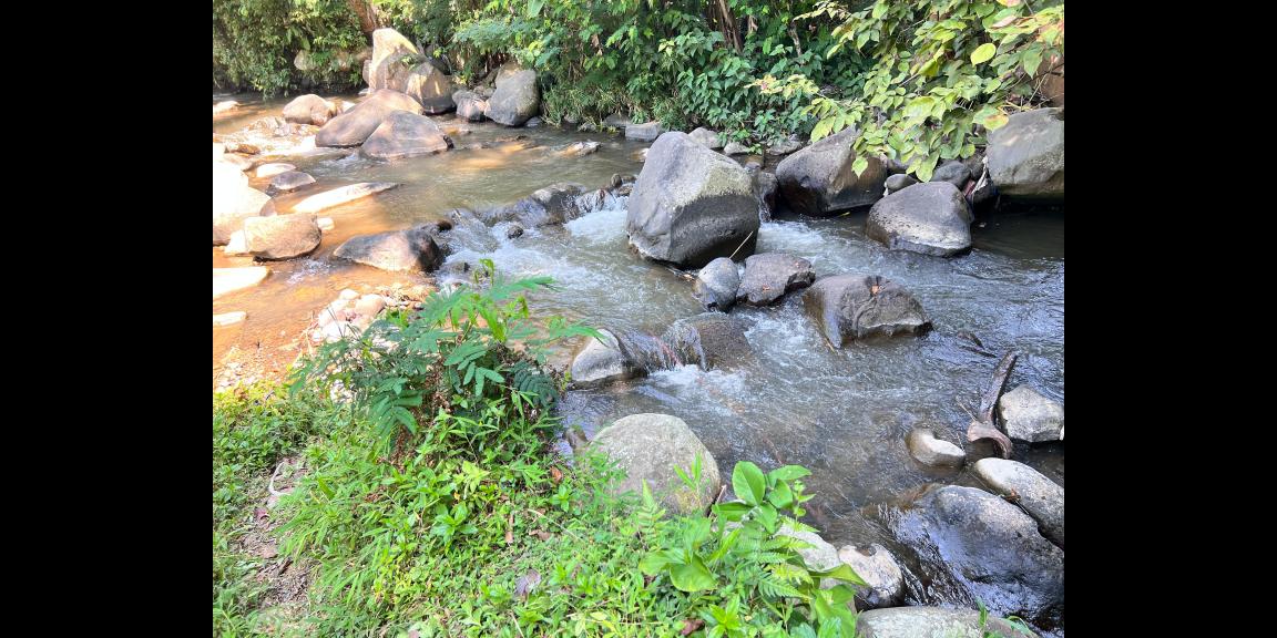 Tanah 1327m² Dekat Mata Air Wisata Kemuning Tanah 1327m² Dekat Mata Air Wisata Kemuning