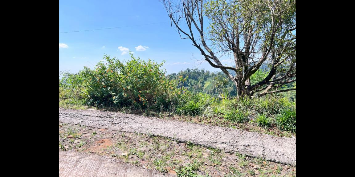 Tanah Idaman 5933m² View Langsung Gunung Lawu Tanah Idaman 5933m² View Langsung Gunung Lawu