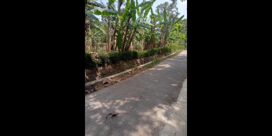 Pekarangan Murah 400 Juta 2200m² Mojogedang Karanganyar Pekarangan Murah 400 Juta 2200m² Mojogedang Karanganyar