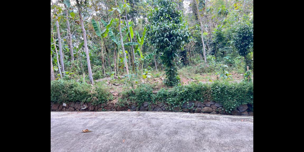 Tanah Hook Super Datar 900m² Utara Pasar Mojogedang Tanah Hook Super Datar 900m² Utara Pasar Mojogedang