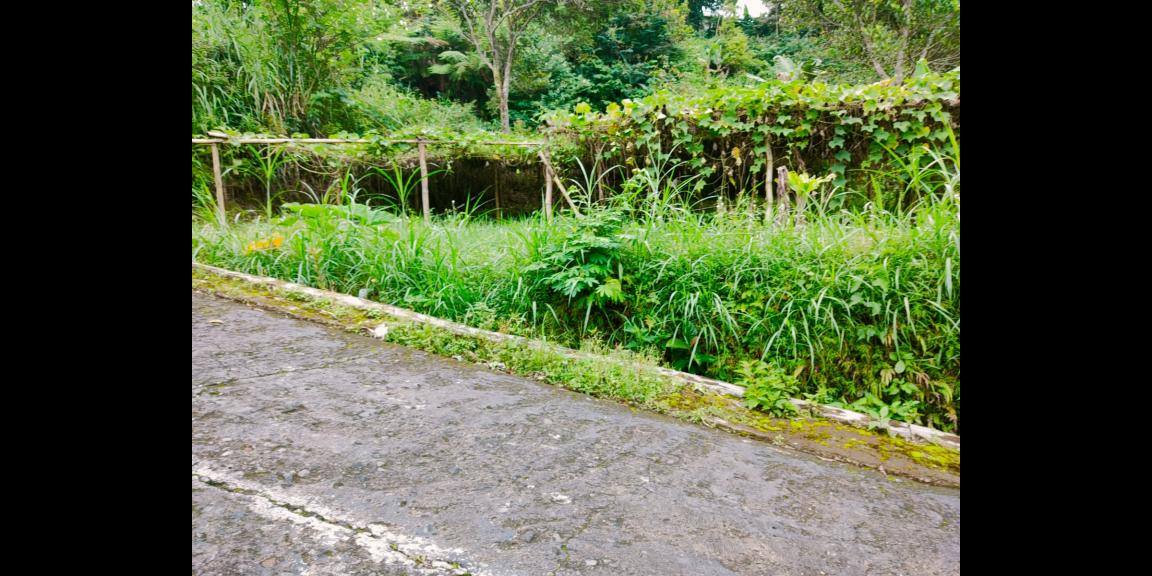 Tanah Strategis Dibangun Villa Tawangmangu Karanganyar Tanah Strategis Dibangun Villa Tawangmangu Karanganyar