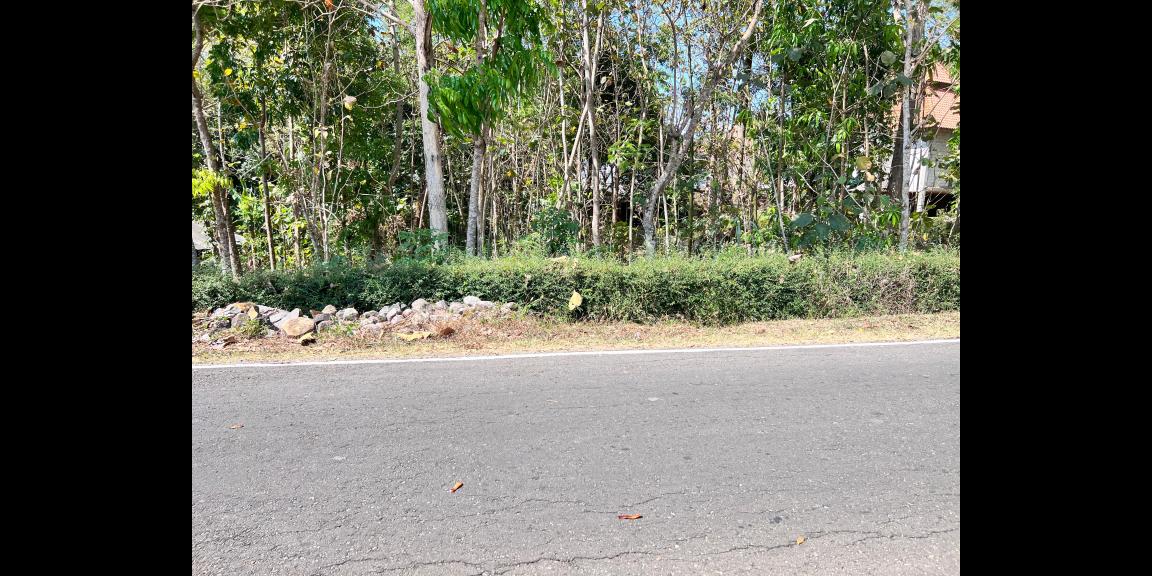 Dijual Pekarangan Strategis Mojogedang 500m² Dijual Pekarangan Strategis Mojogedang 500m²