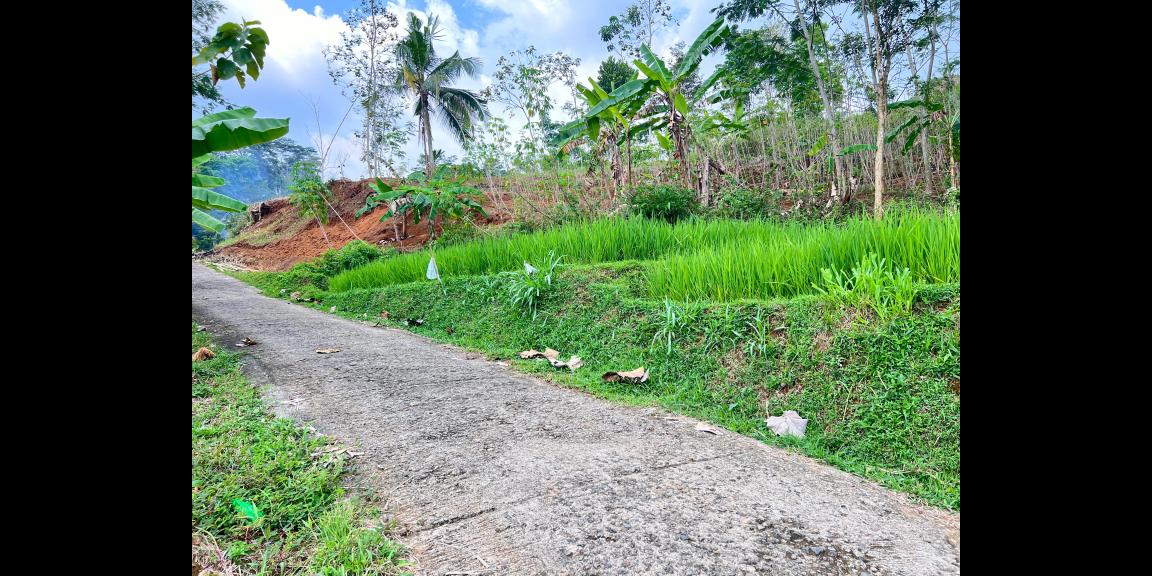 Tanah View Cantik 2850m² Hanya 333rb/m Karangpandan Tanah View Cantik 2850m² Hanya 333rb/m Karangpandan