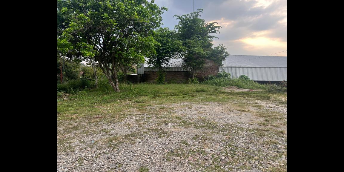 Pekarangan Datar Tepi Jl Raya Kerjo – Kemuning, Karanganyar  Pekarangan Datar Tepi Jl Raya Kerjo – Kemuning, Karanganyar