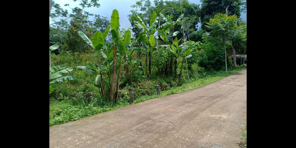 Tanah 3476m² Strtegis Dibangun Vila Dekat Terminal Wisata Karangpandan Tanah 3476m² Strtegis Dibangun Vila Dekat Terminal Wisata Karangpandan