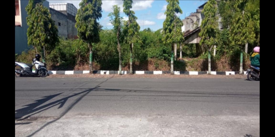 TANAH PINGGIR JALAN BENER SAMPING SMAN 2 KOTA JOGJA TIMUR MiROTA GODEAN SLEMAN TANAH PINGGIR JALAN BENER SAMPING SMAN 2 KOTA JOGJA TIMUR MiROTA GODEAN SLEMAN