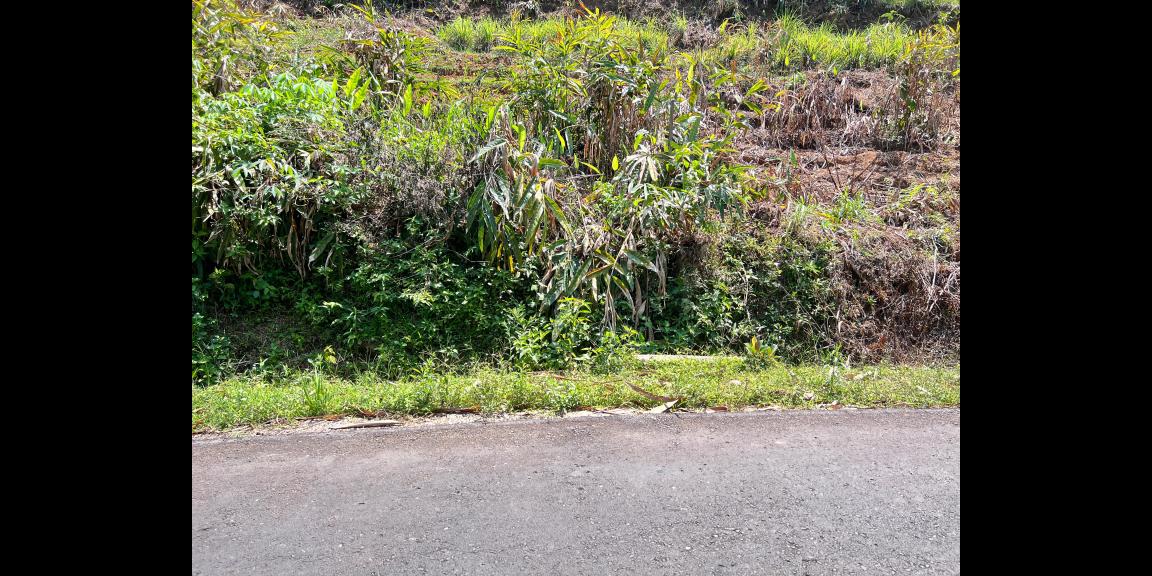 Tanah Tepi Jl DPU 1215m² Ngargoyoso, Karanganyar Tanah Tepi Jl DPU 1215m² Ngargoyoso, Karanganyar