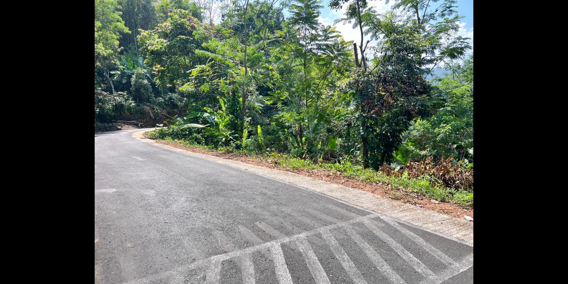 Tanah Udara Dingin 2000m² Ngargoyoso, Karanganyar Tanah Udara Dingin 2000m² Ngargoyoso, Karanganyar