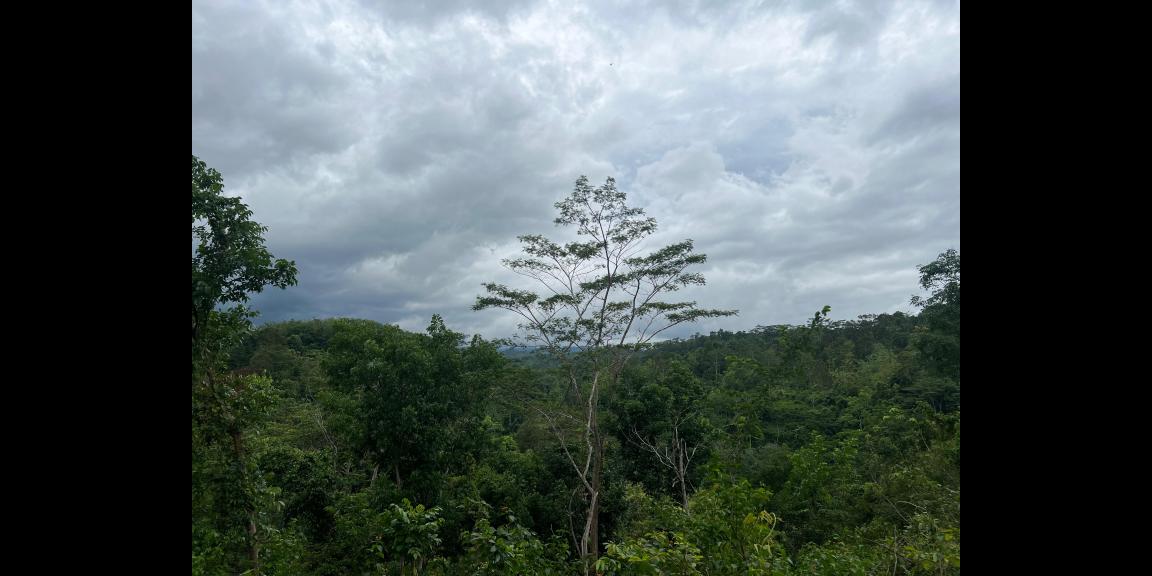 Tanah Datar 7905m² Timur Kantor Kecamatan Kerjo, Karanganyar Tanah Datar 7905m² Timur Kantor Kecamatan Kerjo, Karanganyar