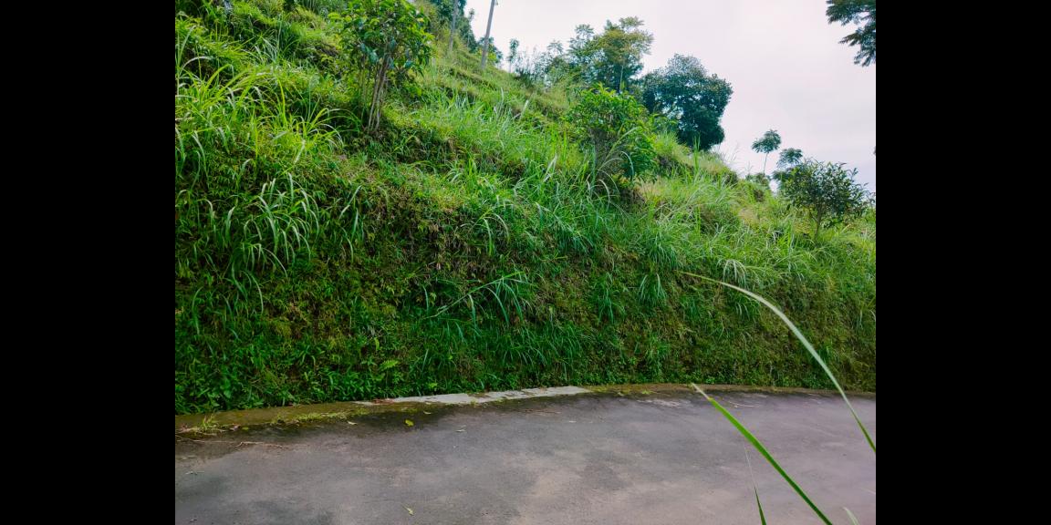 Tanah Idaman Cocok untuk Villa Kemuning Karanganyar Tanah Idaman Cocok untuk Villa Kemuning Karanganyar