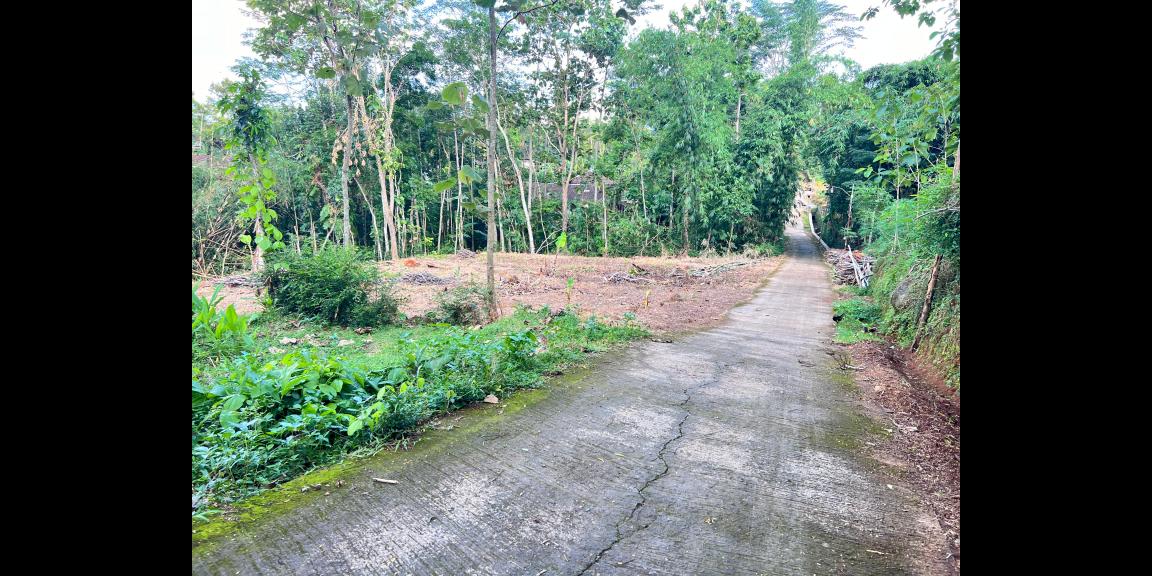 Tanah 1368m² Cocok Untuk Kebun Buah Karanganyar Tanah 1368m² Cocok Untuk Kebun Buah Karanganyar