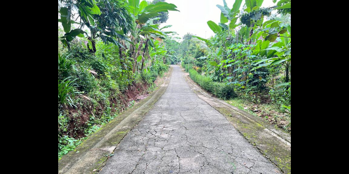 Pekarangan Super Datar 900m² Mojogedang, Karanganyar Pekarangan Super Datar 900m² Mojogedang, Karanganyar