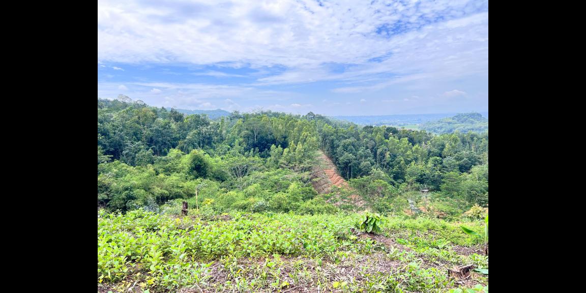 Tanah 2960m² Hanya 275 Juta Udara Dingin Karangpandan Tanah 2960m² Hanya 275 Juta Udara Dingin Karangpandan