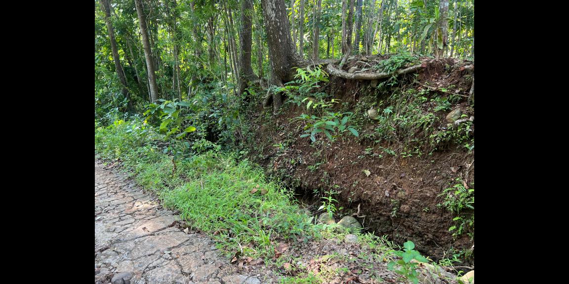 SUPER MURAH TANAH DATAR HANYA 50JT KEDAWUNG, SRAGEN SUPER MURAH TANAH DATAR HANYA 50JT KEDAWUNG, SRAGEN