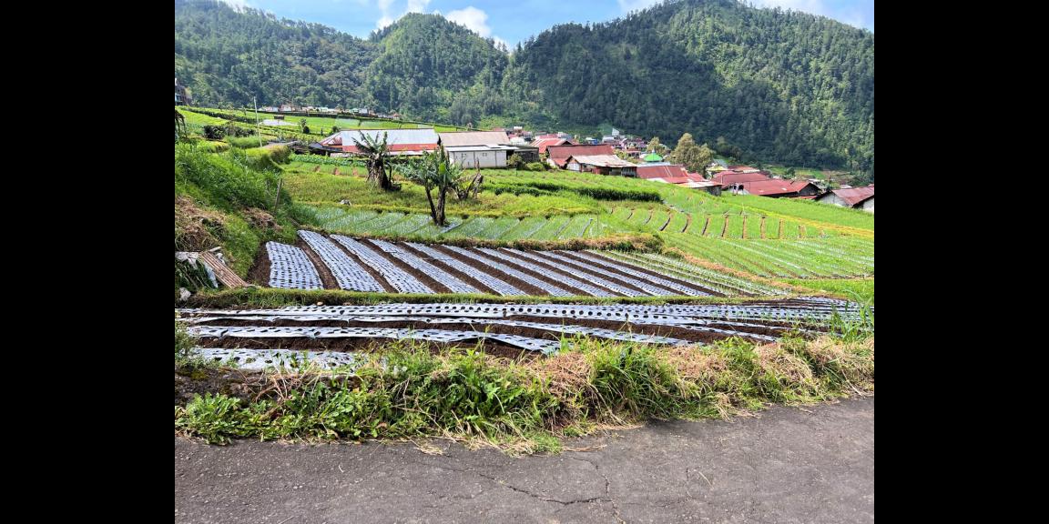 Tanah Idaman Cocok Untuk Villa Wisata Tawangmangu Tanah Idaman Cocok Untuk Villa Wisata Tawangmangu