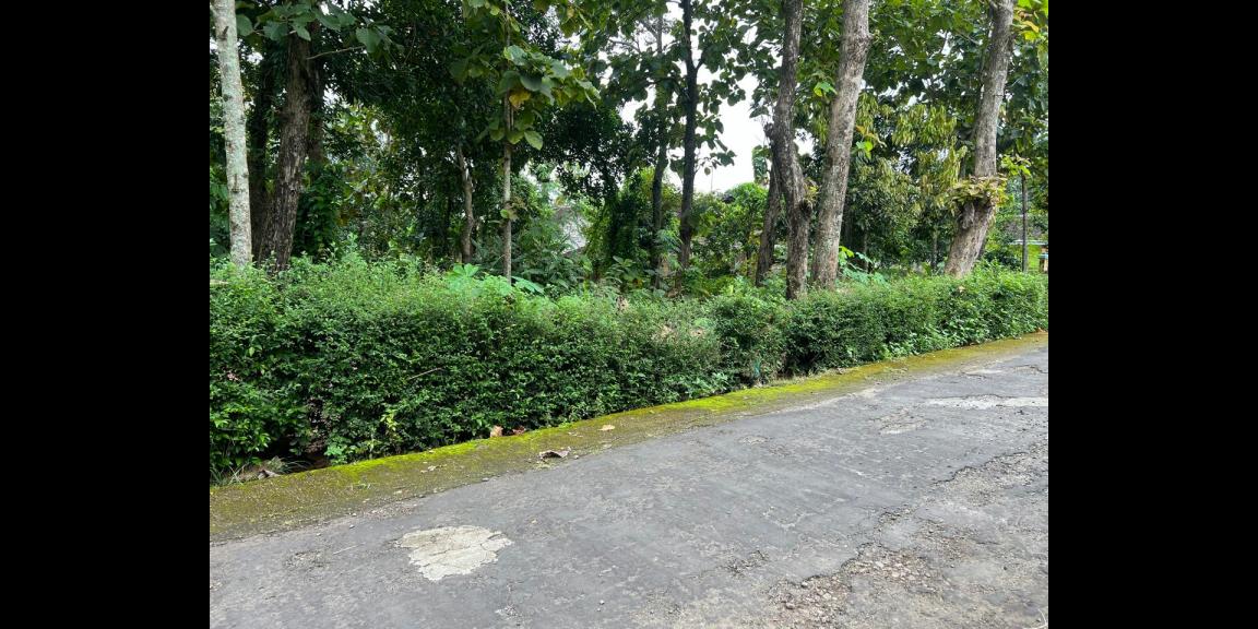 Tanah Datar 539m² Dekat Kecamatan Kerjo, Karanganyar Tanah Datar 539m² Dekat Kecamatan Kerjo, Karanganyar