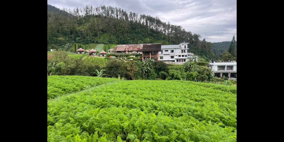 Tanah Datar 970m² Kawasan Villa Tawangmangu ,Karanganyar Tanah Datar 970m² Kawasan Villa Tawangmangu ,Karanganyar