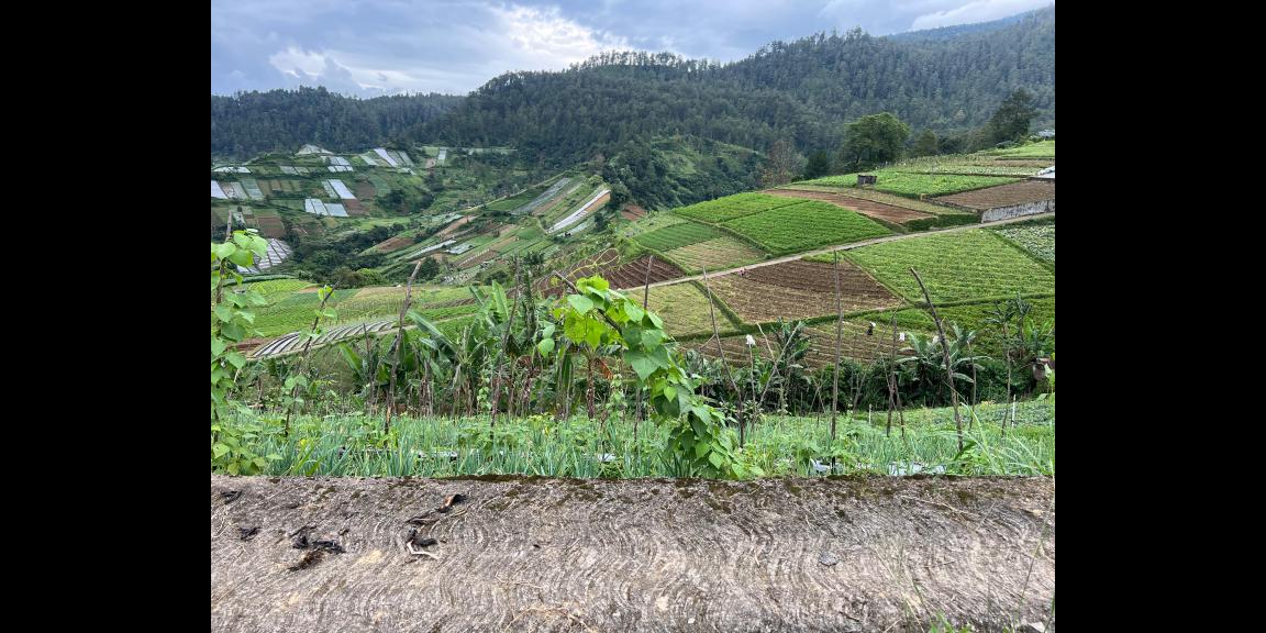 Tanah 300 Juta Siap Bangun Villa Tawangmangu  Tanah 300 Juta Siap Bangun Villa Tawangmangu