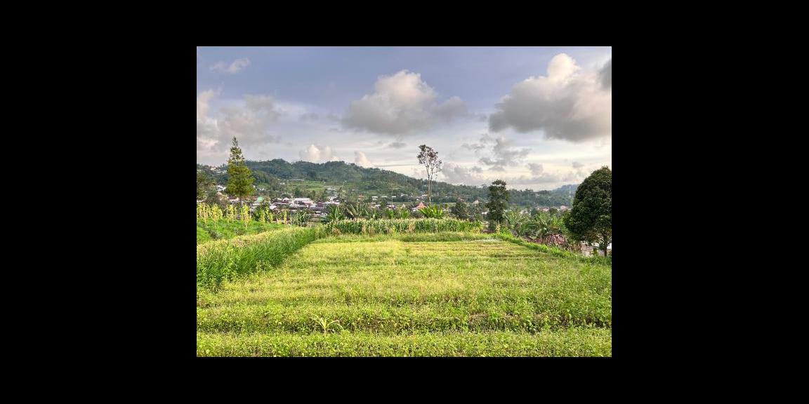 Tanah View Tanpa Terhalang 852m² Karangpandan Tanah View Tanpa Terhalang 852m² Karangpandan
