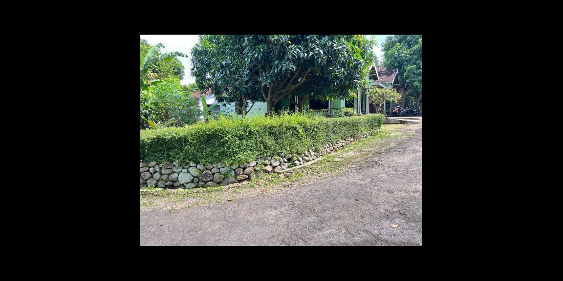 Tanah Datar View Hamparan Sawah Kedawung, Sragen Tanah Datar View Hamparan Sawah Kedawung, Sragen