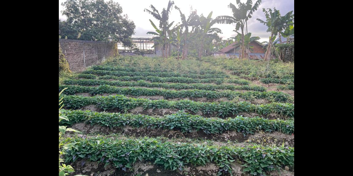 Tanah Datar Tawangmangu, Karanganyar 216m² Tanah Datar Tawangmangu, Karanganyar 216m²