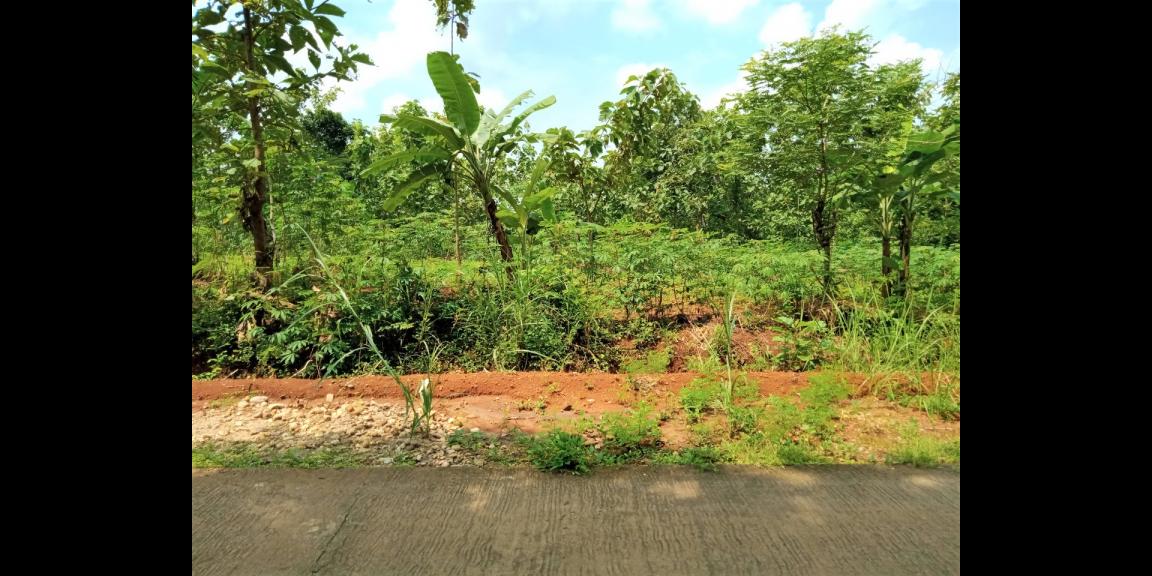 Tanah 12400m² Jumapolo Karanganyar Tanah 12400m² Jumapolo Karanganyar