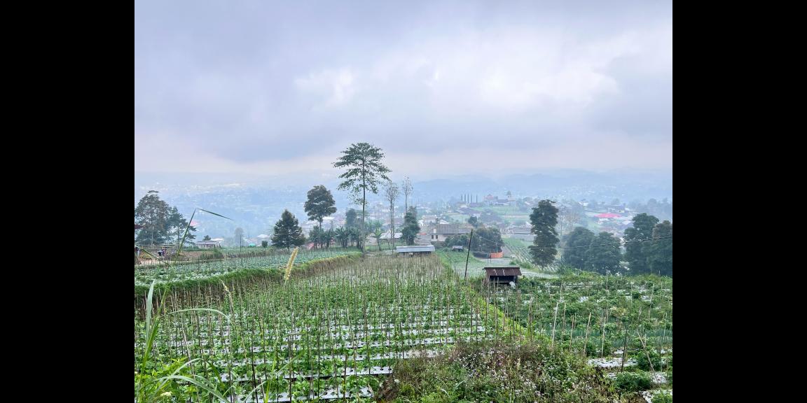 Tanah 1068m² View Cantik Tanpa Halang Ngargoyoso Tanah 1068m² View Cantik Tanpa Halang Ngargoyoso