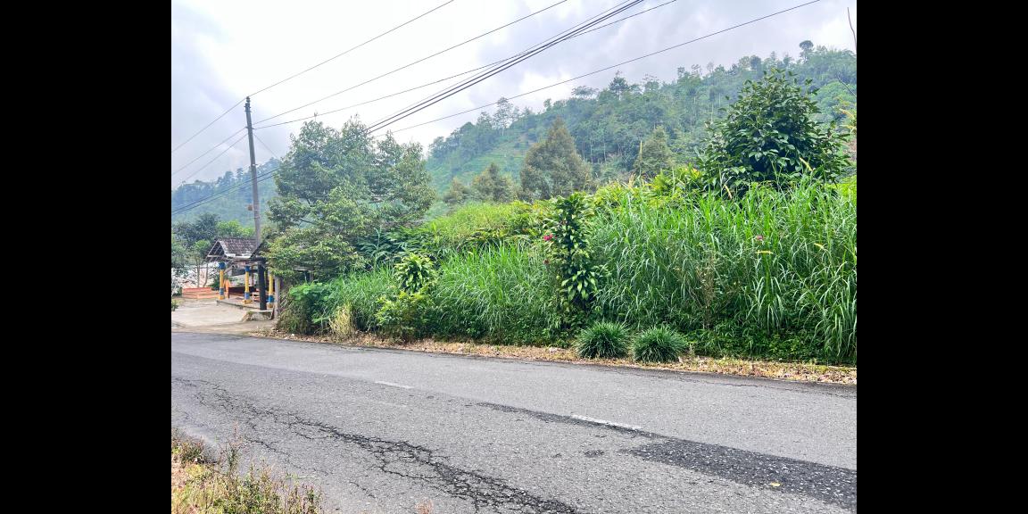 Tanah 3000m² Tepi Jl Raya Kemuning Siap Buka Usaha Tanah 3000m² Tepi Jl Raya Kemuning Siap Buka Usaha