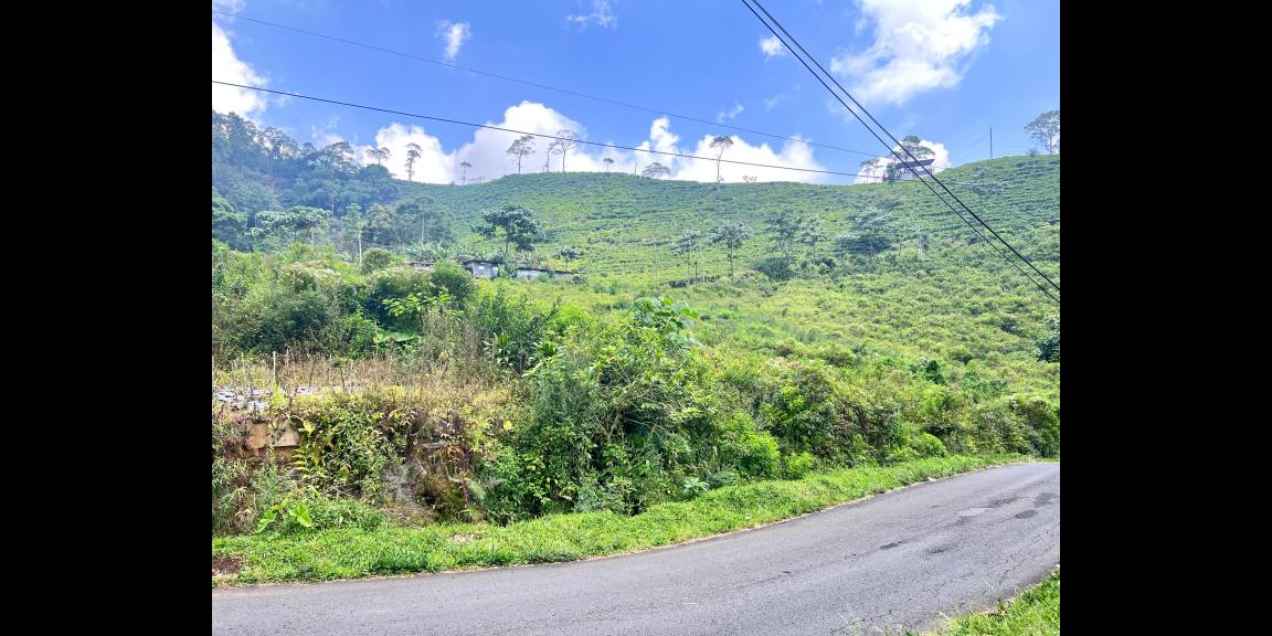 Strategis Tepi Jl Raya 498m View Kebun Teh Kemuning Strategis Tepi Jl Raya 498m View Kebun Teh Kemuning