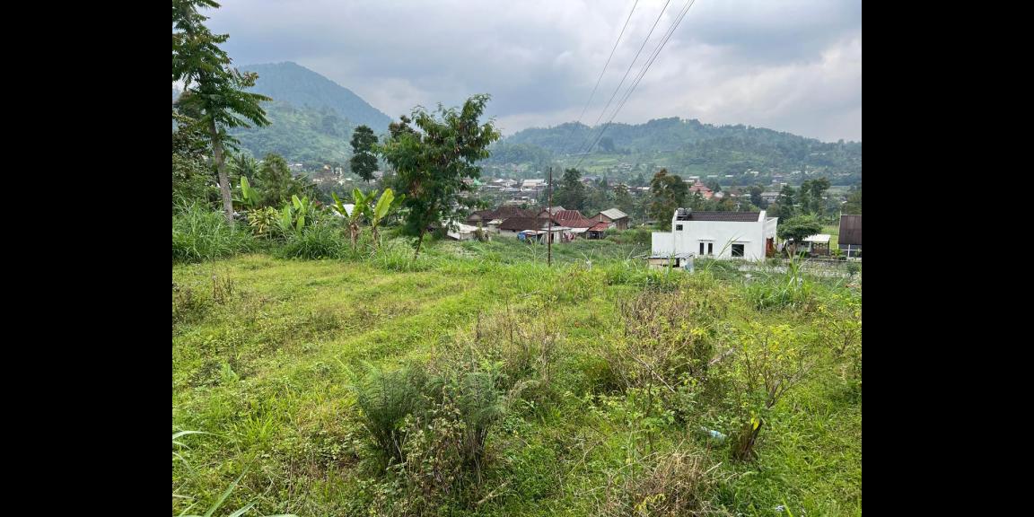 Tanah Udara Dingin 1000m Kemuning, Karanganyar Tanah Udara Dingin 1000m Kemuning, Karanganyar