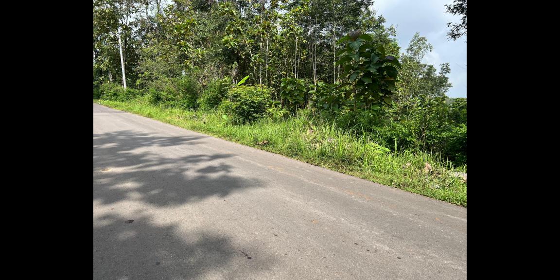 Tanah Datar Untuk Gudang 1000m² Tepi Jl Raya Kerjo – Sragen Tanah Datar Untuk Gudang 1000m² Tepi Jl Raya Kerjo – Sragen