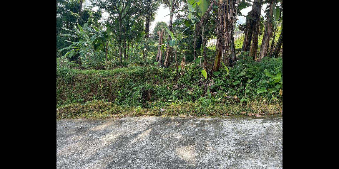 Tanah Kawasan Wisata Tawangmangu 1150m 600Jt Tanah Kawasan Wisata Tawangmangu 1150m 600Jt