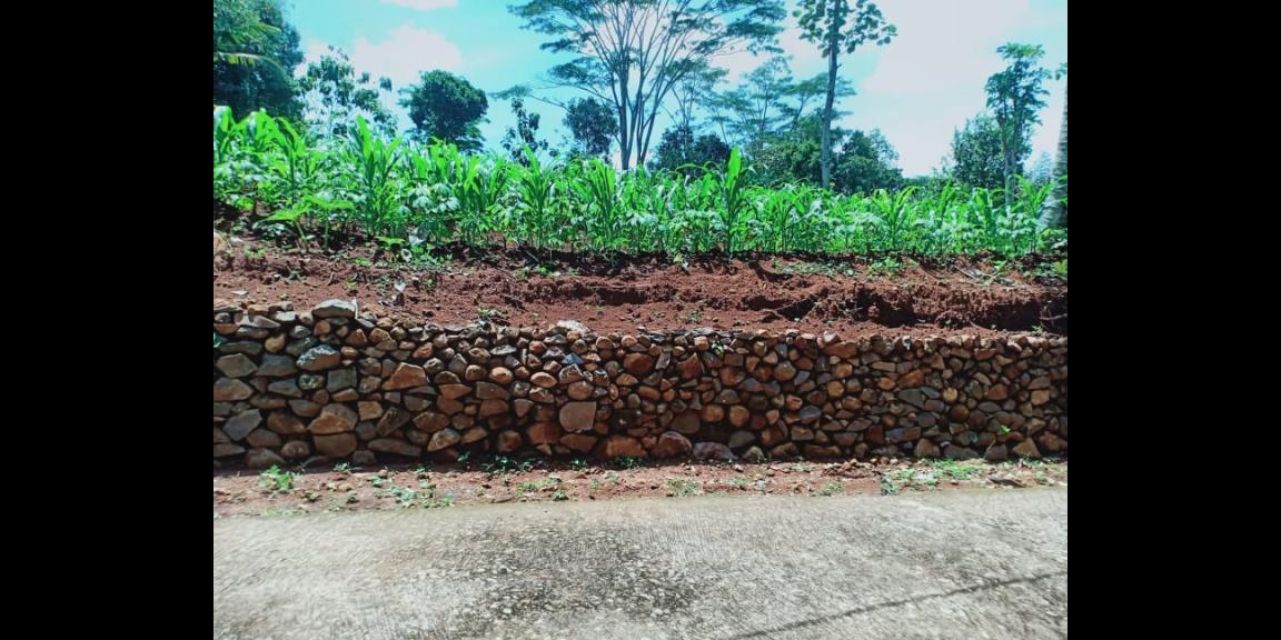 Tanah Datar Dekat Wisata Kebun Durian Mojogedang Karanganyar Tanah Datar Dekat Wisata Kebun Durian Mojogedang Karanganyar