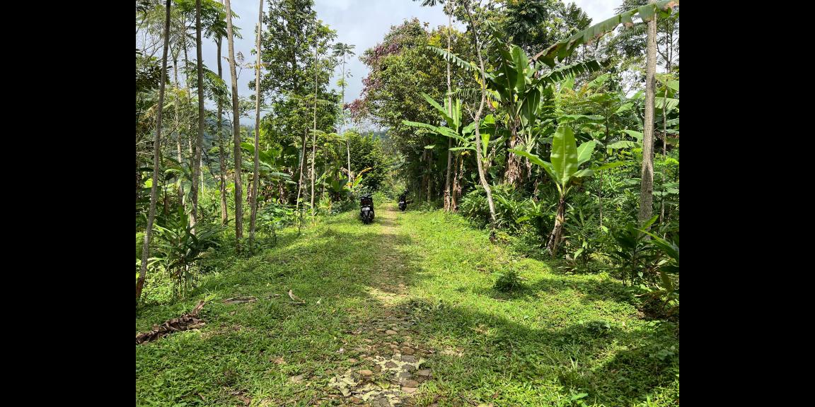 Tanah Datar Murah 500m 175Jt Jenawi Karanganyar Tanah Datar Murah 500m 175Jt Jenawi Karanganyar