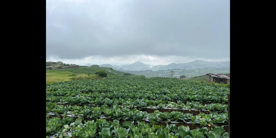 Tanah Wisata Kemuning 1000m View Istimewa Tanah Wisata Kemuning 1000m View Istimewa