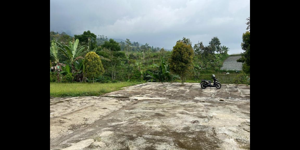 Tanah Datar 1100m² Kawasan Wisata Ngargoyoso Tanah Datar 1100m² Kawasan Wisata Ngargoyoso