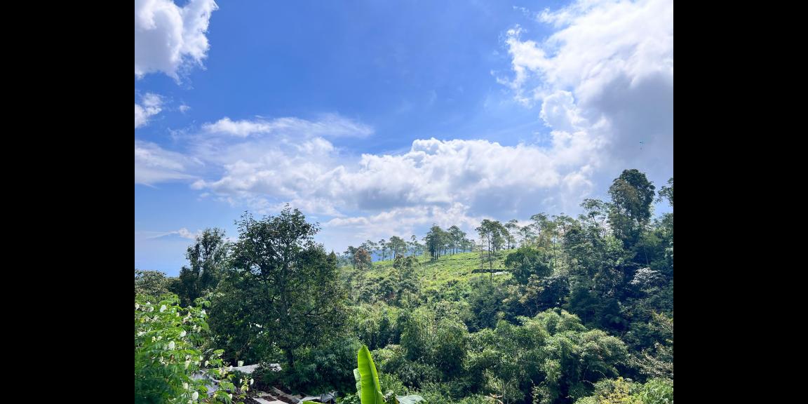 Tanah Datar 838m² Kawasan villa Timur Pasar Kemuning Tanah Datar 838m² Kawasan villa Timur Pasar Kemuning