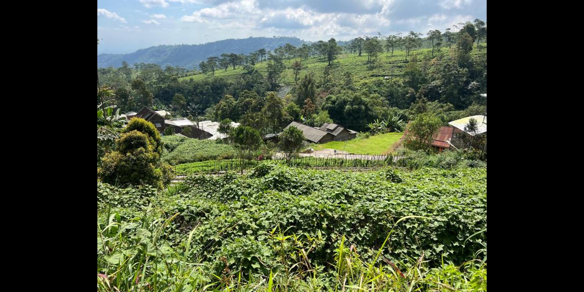 Dijual Tanah Udara Dingin Siap Bangun Villa/ Resto Kemuning Solo Dijual Tanah Udara Dingin Siap Bangun Villa/ Resto Kemuning Solo