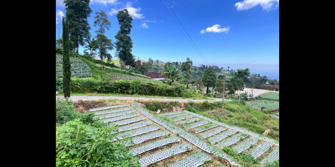 Tanah Datar View Cantik 800m Kemuning, Karanganyar  Tanah Datar View Cantik 800m Kemuning, Karanganyar