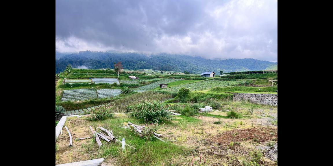 Tanah Pondasi 1010m² Cocok untuk Bangun Villa Wisata  Tanah Pondasi 1010m² Cocok untuk Bangun Villa Wisata