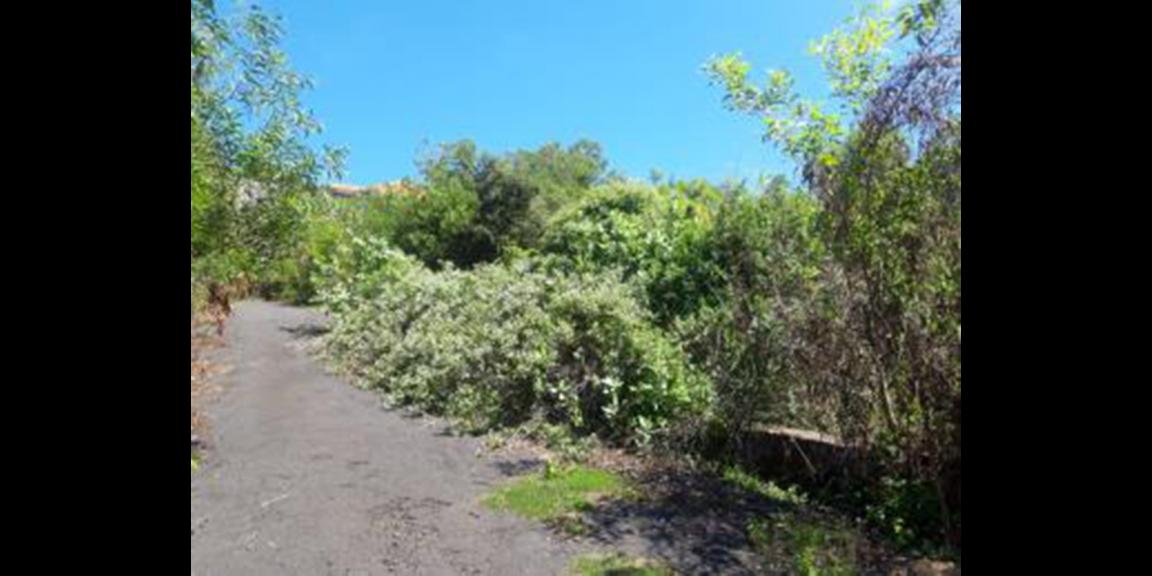 Jual Tanah Murah di Jalan Goa Gong Ungasan Bali Jual Tanah Murah di Jalan Goa Gong Ungasan Bali