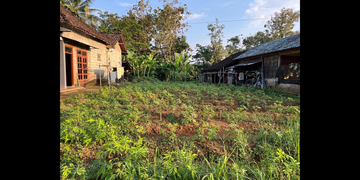 Tanah Datar 1100m² Cocok Untuk Hunian Karanganyar Tanah Datar 1100m² Cocok Untuk Hunian Karanganyar