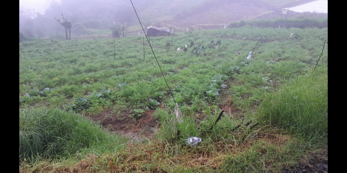 Tanah 825m² Strategis Tepi Jl Tawangmangu Karanganyar Tanah 825m² Strategis Tepi Jl Tawangmangu Karanganyar