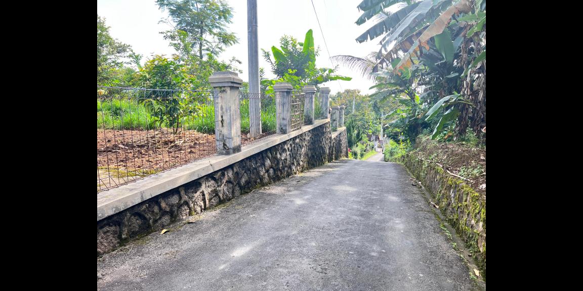 Tanah 225 Juta Udara Dingin Ngargoyoso Tanah 225 Juta Udara Dingin Ngargoyoso