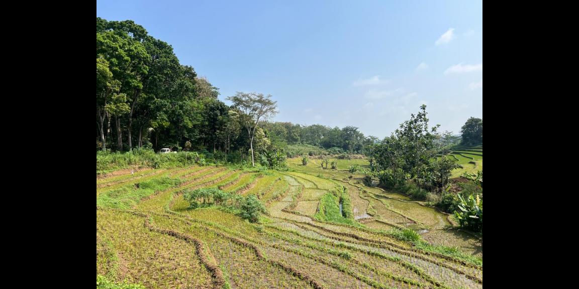 Tanah Subur 4000m² Udara Dingin Karangpandan Tanah Subur 4000m² Udara Dingin Karangpandan