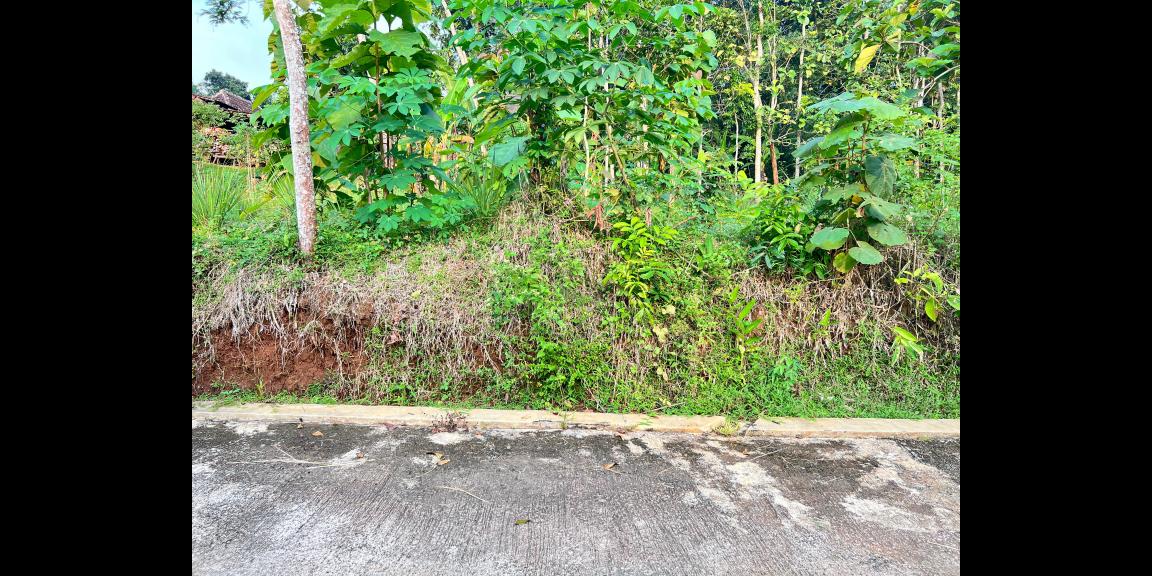 Tanah 2050m² Siap Bangun Utara Pasar Mojogedang Tanah 2050m² Siap Bangun Utara Pasar Mojogedang