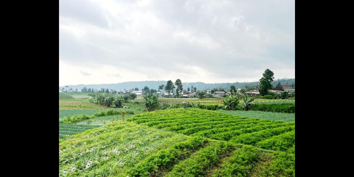 Tanah 442m² Strategis Kawasan Villa Kemuning Tanah 442m² Strategis Kawasan Villa Kemuning